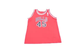 90's Champion Embroidered Logo Chicago Bulls Michael Jordan Jersey