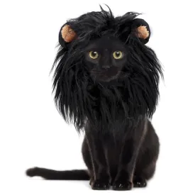 Black Lion Costume for Cats