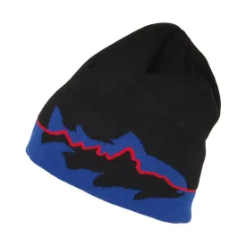 Bonnet Recyclé Fitz Trout noir PATAGONIA