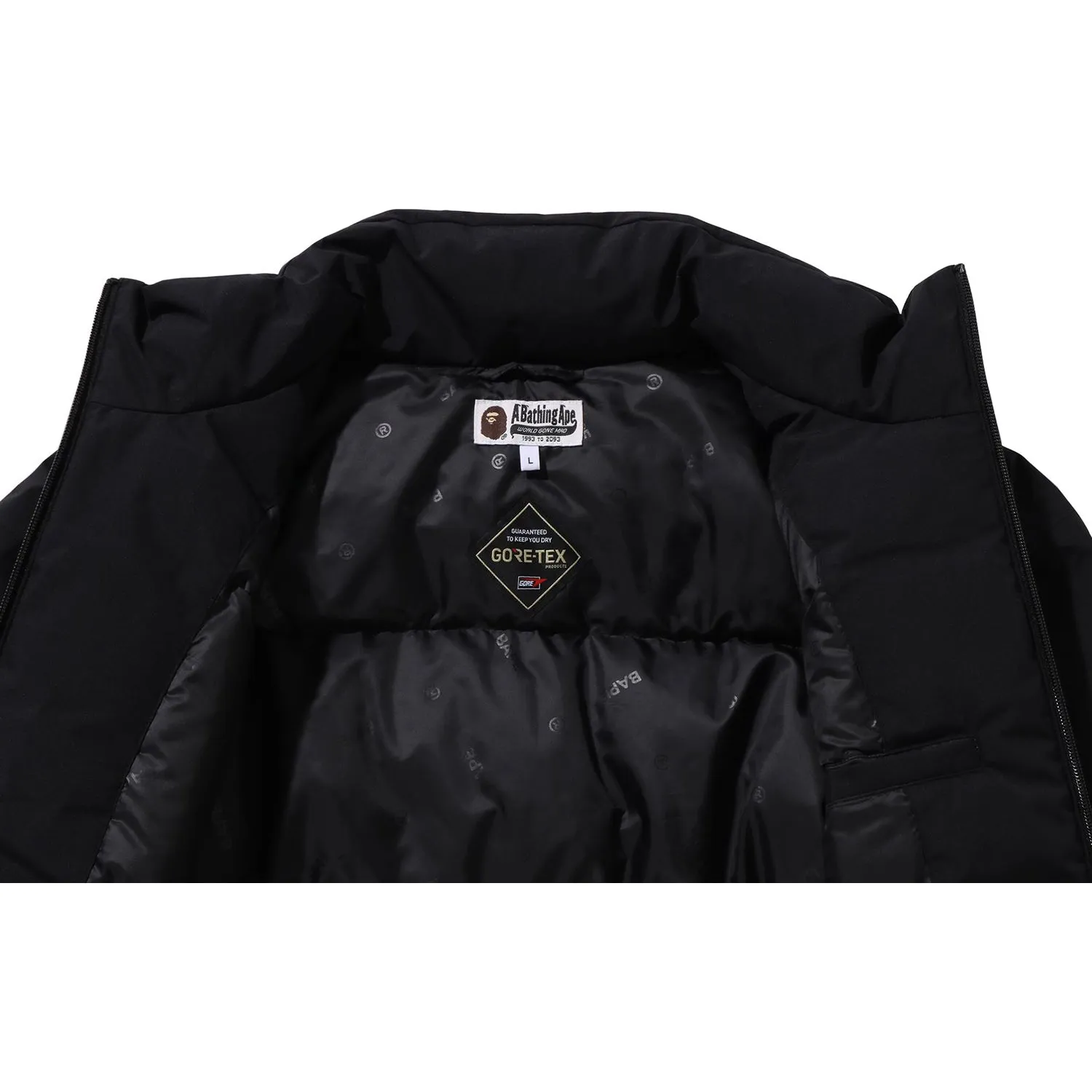 GORE-TEX DOWN JACKET MENS