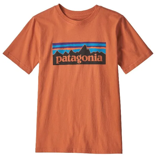 Patagonia Boys' Organic P-6 Logo T-Shirt