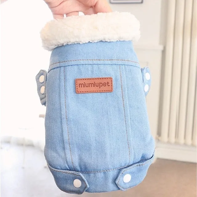 Winter Jeans Coat for French Bulldog (WS35)